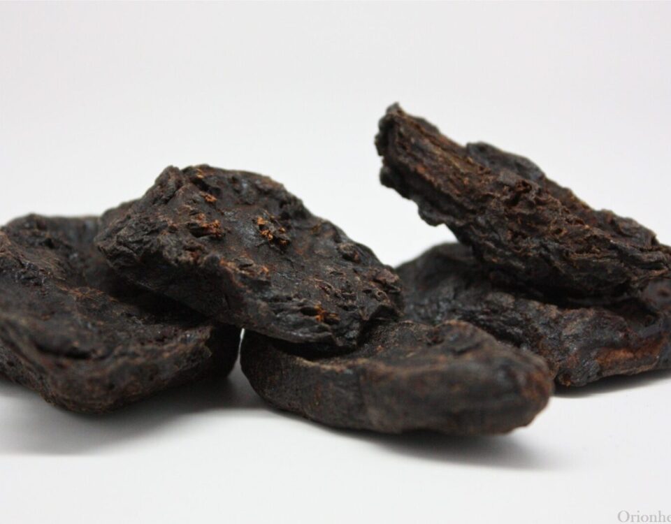 פוליגוני מולטיפלורי