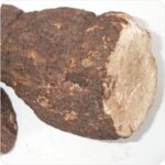 פטריית פוריה