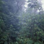 ההרצאה שטלטלה את המדינה