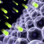 נוגדי חמצון