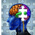 פוספטידיל-סרין-לשיפור-תפקודי-מוח