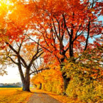 אחרי החגים זה עכשיו