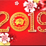 שנת-חזיר-בר-ביסוד-אדמת-2019
