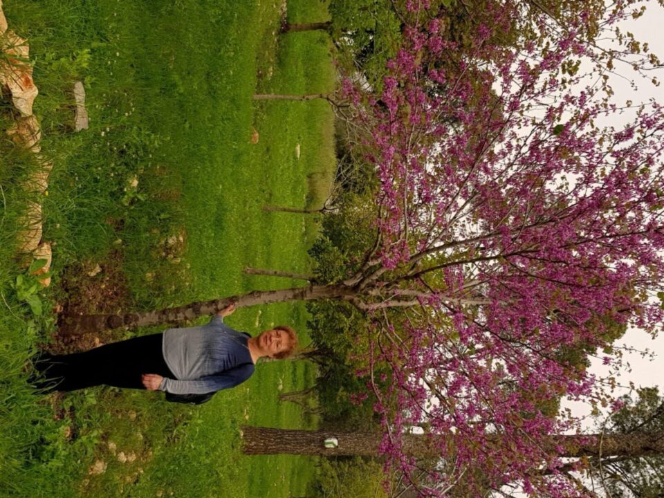 פריחת האביב