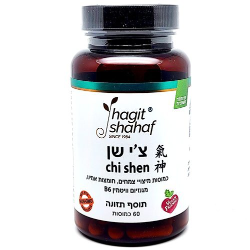 צ'י שן