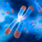 טלומרים, הפתיל שקוצב לנו את אורך חיינו