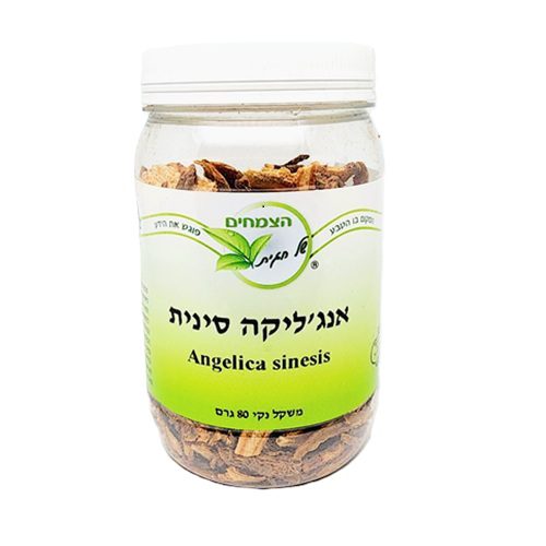 אנגליקה-סינית